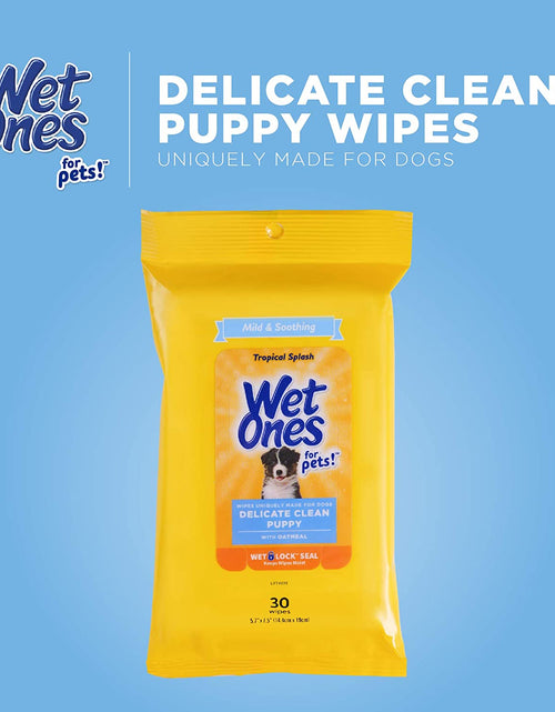 Load image into Gallery viewer, for Pets Delicate Clean Puppy Cleaning Wipes with Oatmeal | Mild &amp; Soothing Puppy Grooming Wipes in Tropical Splash Scent,  Wipes with Wet Lock Seal | 30 Ct Pouch Dog Wipes
