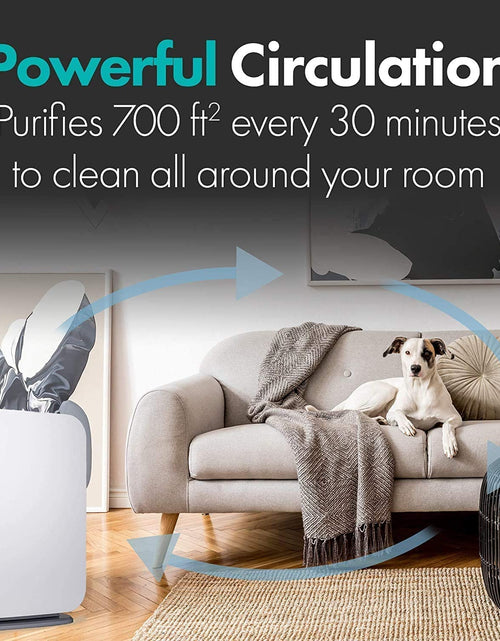 Load image into Gallery viewer, Air Purifier Breathesmart Flex HEPA with Fresh Filter + Carbon | 1400 Sq. Ft | Perfect for Bedrooms &amp; Home Offices - Captures Allergens, Dust, &amp; Mold + Household Odors &amp; Smoke - White
