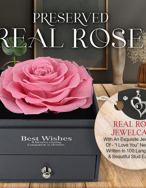 Load image into Gallery viewer, Glamour Boutique Preserved Rose in a Box with I Love You Necklace in 100 Languag
