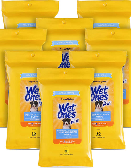 Load image into Gallery viewer, for Pets Delicate Clean Puppy Cleaning Wipes with Oatmeal | Mild &amp; Soothing Puppy Grooming Wipes in Tropical Splash Scent,  Wipes with Wet Lock Seal | 30 Ct Pouch Dog Wipes
