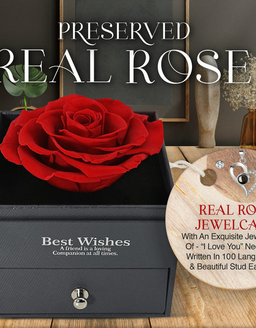 Load image into Gallery viewer, Glamour Boutique Preserved Rose in a Box with I Love You Necklace in 100 Languag
