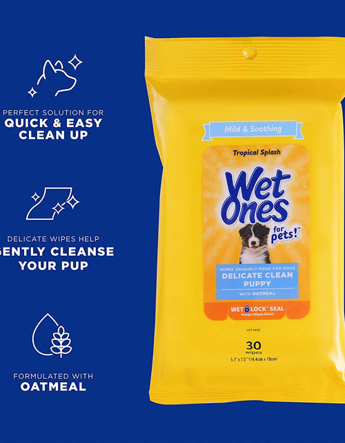 Load image into Gallery viewer, for Pets Delicate Clean Puppy Cleaning Wipes with Oatmeal | Mild &amp; Soothing Puppy Grooming Wipes in Tropical Splash Scent,  Wipes with Wet Lock Seal | 30 Ct Pouch Dog Wipes
