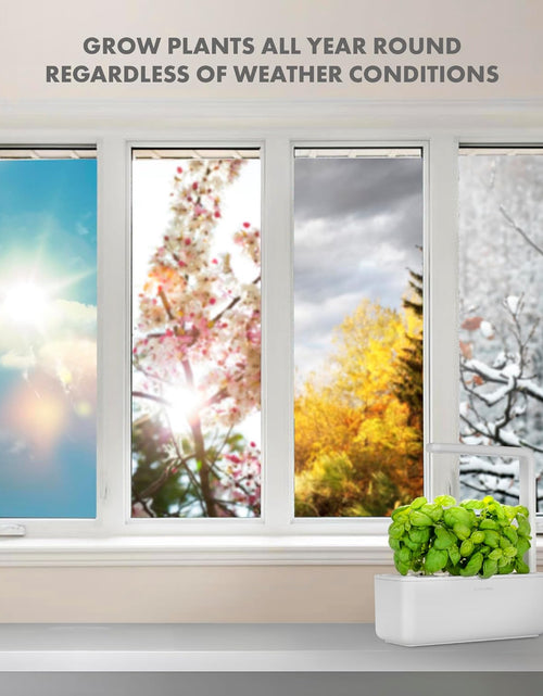 Load image into Gallery viewer, Indoor Herb Garden Kit with Grow Light | Smart Garden for Home Kitchen Windowsill | Easier than Hydroponics Growing System | Vegetable Gardening Starter (3 Basil Pods Included), White
