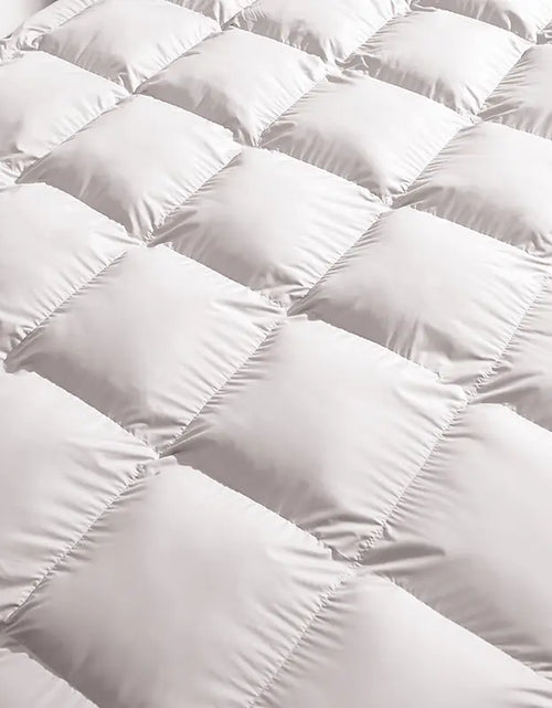 Load image into Gallery viewer, FU Anna Thick Goose Down Comforter for Double Bed 230x229cm
