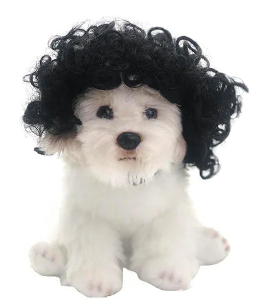 Load image into Gallery viewer, Toshomono Wig Cosplay Tool for Costumes
