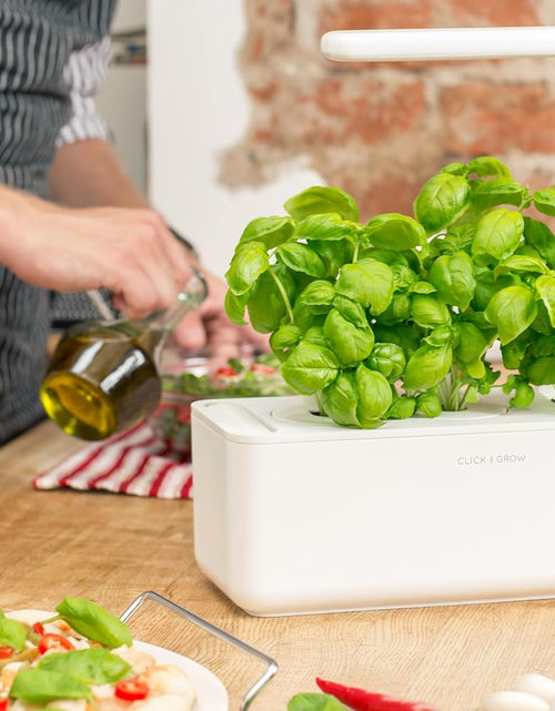 Load image into Gallery viewer, Indoor Herb Garden Kit with Grow Light | Smart Garden for Home Kitchen Windowsill | Easier than Hydroponics Growing System | Vegetable Gardening Starter (3 Basil Pods Included), White
