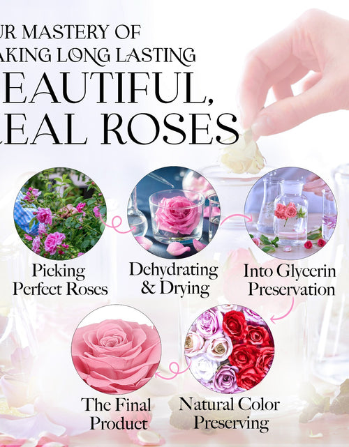Load image into Gallery viewer, Glamour Boutique Preserved Rose in a Box with I Love You Necklace in 100 Languag
