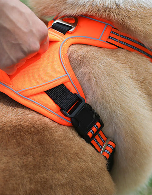 Load image into Gallery viewer, Durable Waterproof Pet Harness with Vertical Handle
