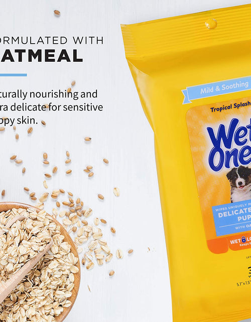 Load image into Gallery viewer, for Pets Delicate Clean Puppy Cleaning Wipes with Oatmeal | Mild &amp; Soothing Puppy Grooming Wipes in Tropical Splash Scent,  Wipes with Wet Lock Seal | 30 Ct Pouch Dog Wipes
