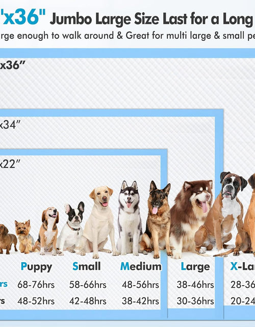 Load image into Gallery viewer, XXXXL 36&quot;X36&quot; Thicken Heavy Absorbency Dog Pad Extra Large- Jumbo Disposable Polymer Quick Dry No Leaking Pee Pads for Dogs, Cats, Rabbits Pets 30 Counts
