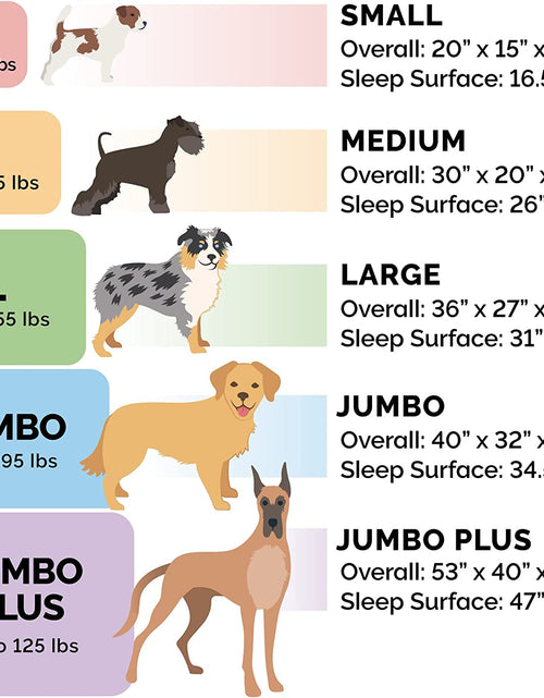 Load image into Gallery viewer, Replacement Dog Bed Cover Perfect Comfort Plush &amp; Velvet Waves Sofa-Style, Machine Washable - Celadon Green, Jumbo plus (Xx-Large)
