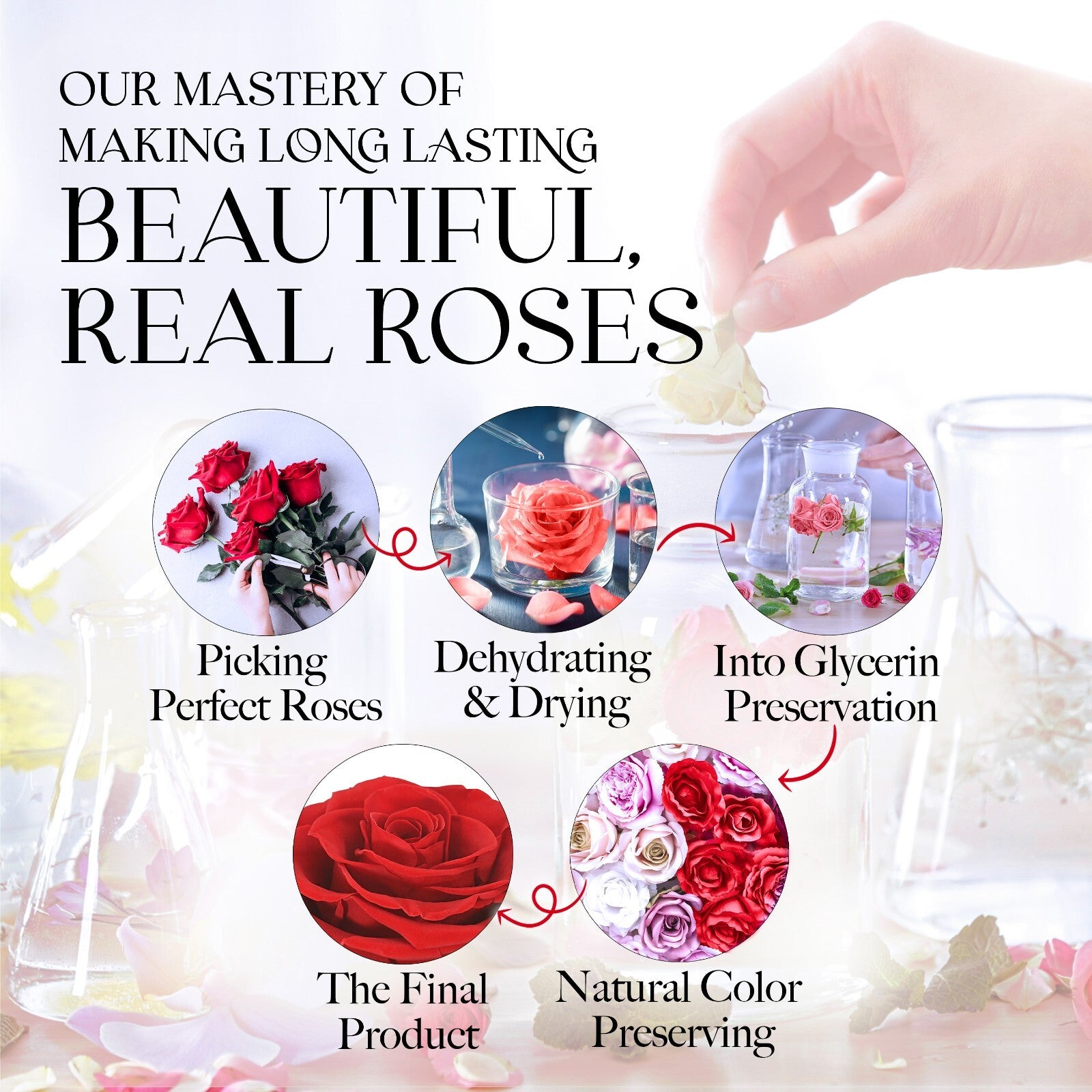 Glamour Boutique Preserved Rose in a Box with I Love You Necklace in 100 Languag