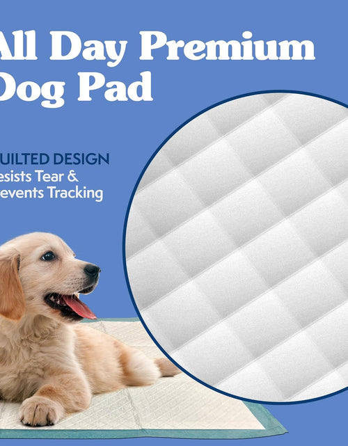 Load image into Gallery viewer, Extra Large Pee Pads for Dogs, Puppy Potty Training, Leak Proof Dog Pads, Pet Pee Pad, Disposable Puppy Pad, XLARGE 28&quot;X30&quot;
