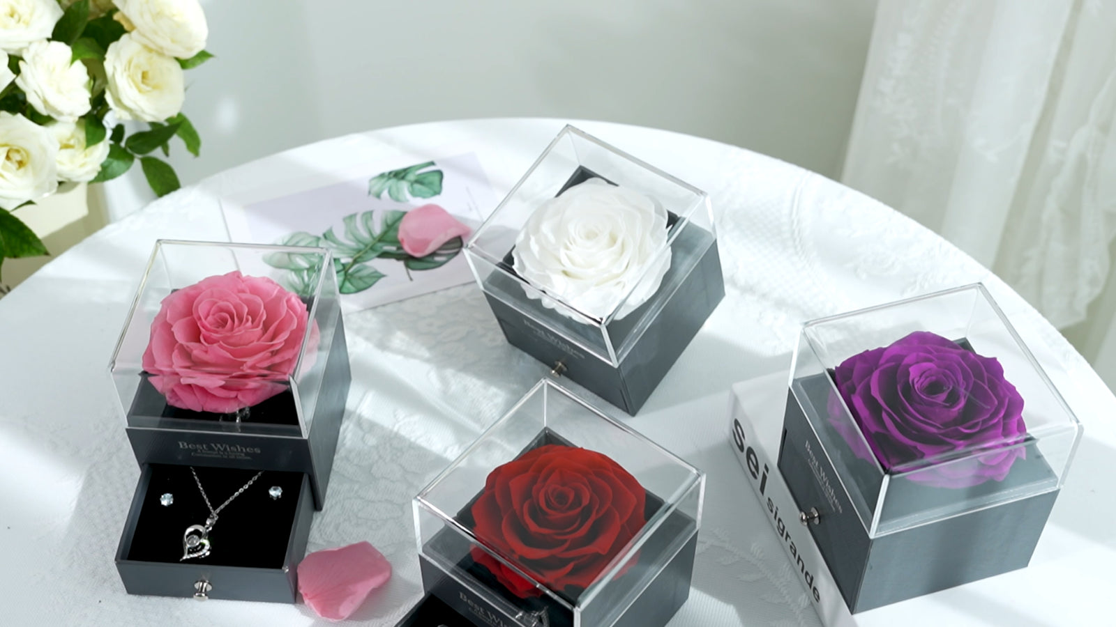 Glamour Boutique Preserved Rose in a Box with I Love You Necklace in 100 Languag