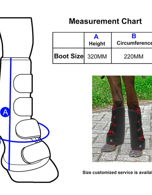 Load image into Gallery viewer, Portable Phototherapy for Horse Legs
