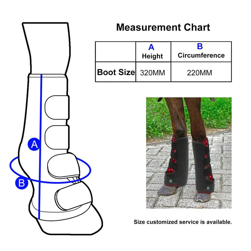 Portable Phototherapy for Horse Legs