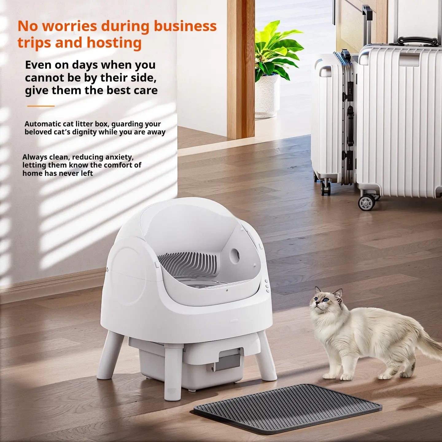 Open Automatic Self-Cleaning Litter Box (White)