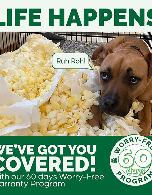 Load image into Gallery viewer, Replacement Dog Bed Cover Perfect Comfort Plush &amp; Velvet Waves Sofa-Style, Machine Washable - Celadon Green, Jumbo plus (Xx-Large)
