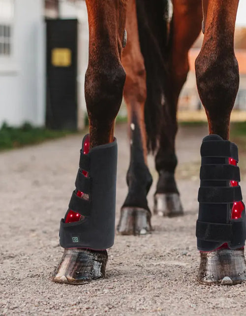 Load image into Gallery viewer, Portable Phototherapy for Horse Legs
