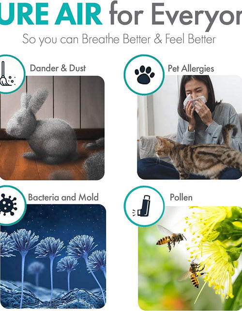 Load image into Gallery viewer, Air Purifier Breathesmart Flex HEPA with Fresh Filter + Carbon | 1400 Sq. Ft | Perfect for Bedrooms &amp; Home Offices - Captures Allergens, Dust, &amp; Mold + Household Odors &amp; Smoke - White
