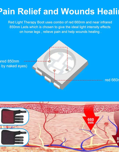 Load image into Gallery viewer, Portable Phototherapy for Horse Legs
