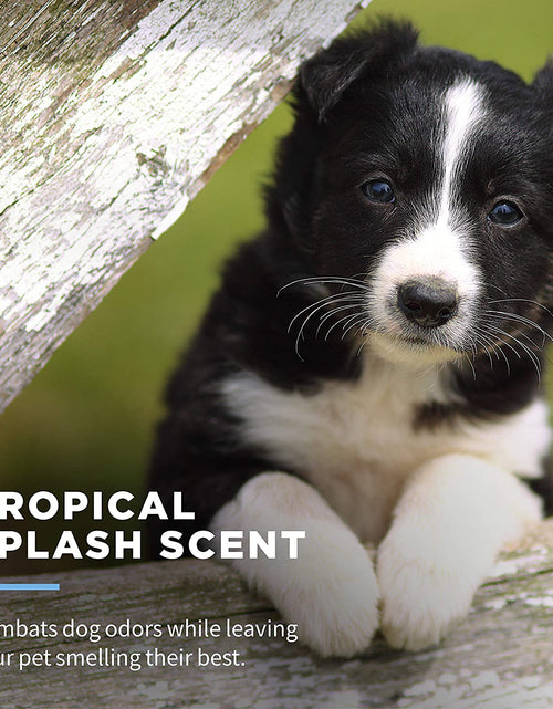 Load image into Gallery viewer, for Pets Delicate Clean Puppy Cleaning Wipes with Oatmeal | Mild &amp; Soothing Puppy Grooming Wipes in Tropical Splash Scent,  Wipes with Wet Lock Seal | 30 Ct Pouch Dog Wipes
