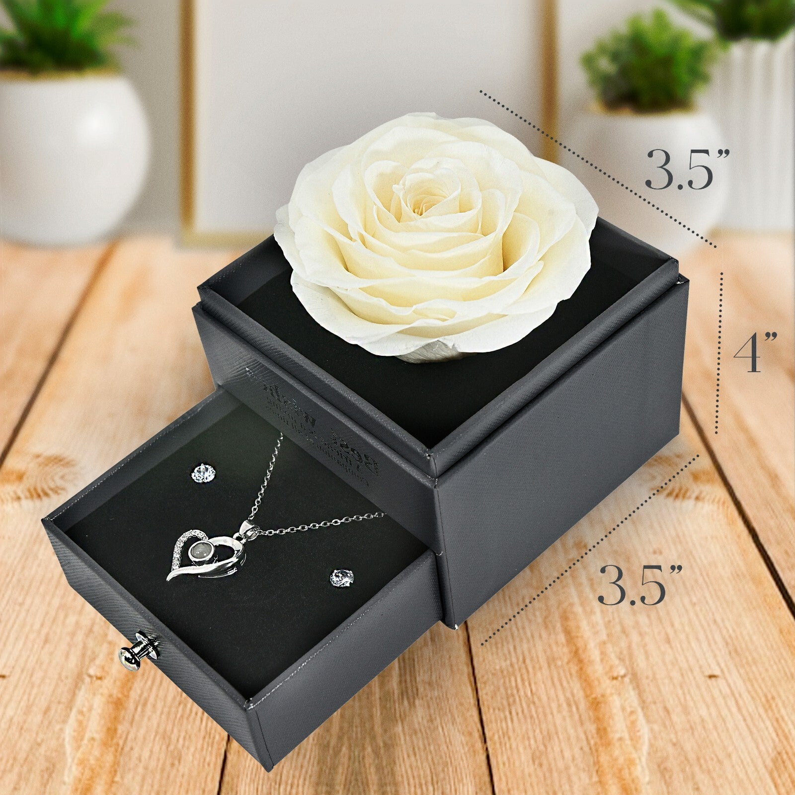 Glamour Boutique Preserved Rose in a Box with I Love You Necklace in 100 Languag