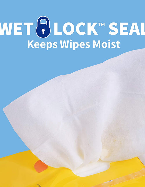 Load image into Gallery viewer, for Pets Delicate Clean Puppy Cleaning Wipes with Oatmeal | Mild &amp; Soothing Puppy Grooming Wipes in Tropical Splash Scent,  Wipes with Wet Lock Seal | 30 Ct Pouch Dog Wipes
