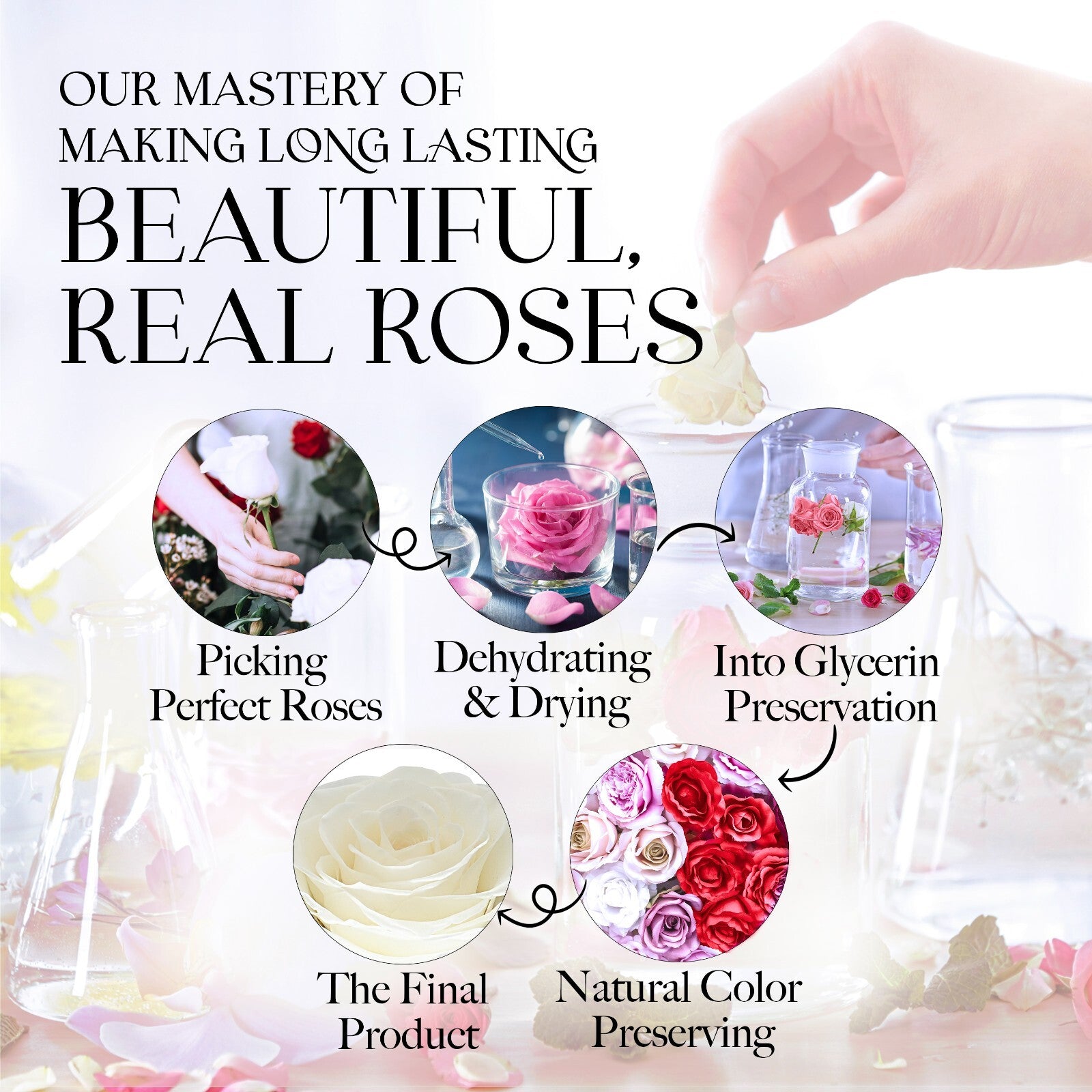 Glamour Boutique Preserved Rose in a Box with I Love You Necklace in 100 Languag