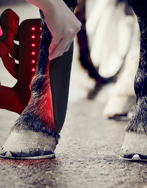 Load image into Gallery viewer, Portable Phototherapy for Horse Legs
